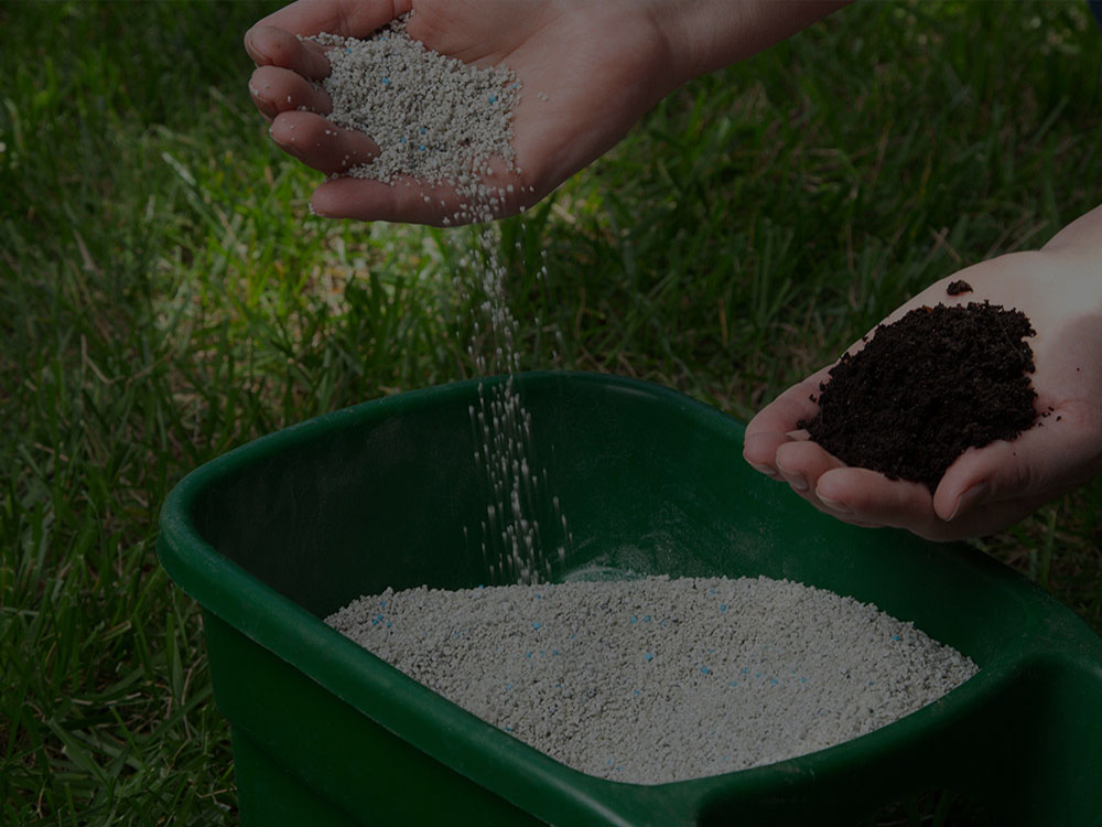 Belmont Fertilization