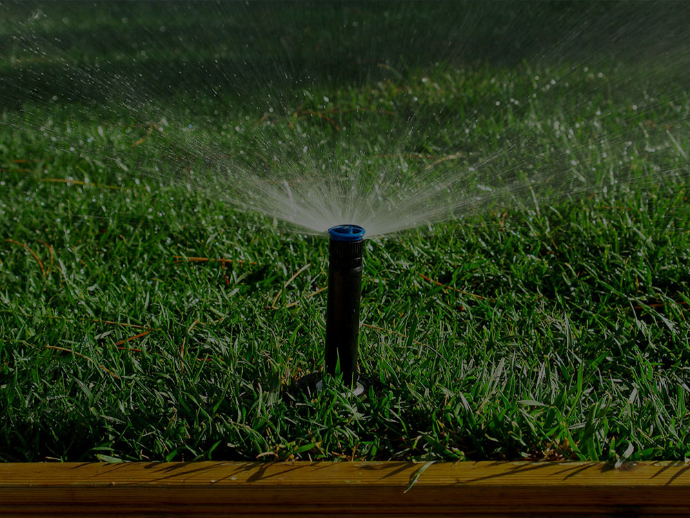 Belmont Irrigation