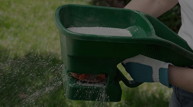 Belmont Fertilization