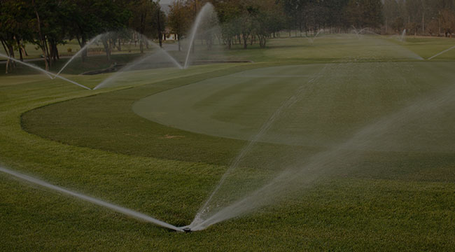 Belmont Irrigation